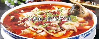 ​水煮鱼一般都用什么鱼 水煮鱼得用什么鱼