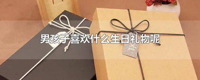 ​12岁男生一般喜欢什么生日礼物 12岁男孩喜欢的生日礼物