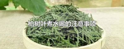 ​柏树叶煮水的副作用 柏树叶煮水有什么作用