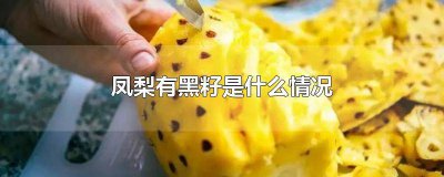 ​凤梨里黑色的粒是籽吗 凤梨里面有黑色