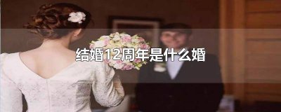 ​结婚12周年是什么婚 英文 结婚12周年是什么婚13年开始了