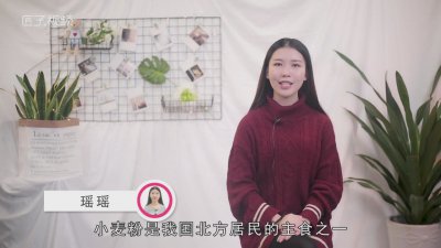 ​小麦粉是面粉吗 小麦粉是面粉吗可以做包子吗