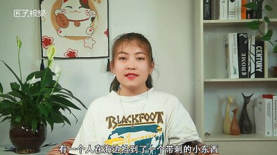 ​关于河豚的介绍文「关于河豚的介绍资料」