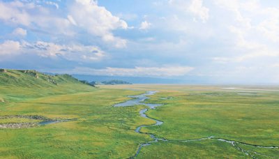 ​中国三大草原是哪三个省份 中国三大草原是指哪三大