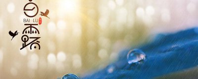 ​露从今夜白是谁写的诗 露从今夜白出自哪一首诗