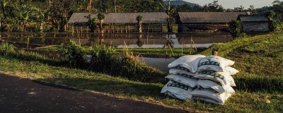 ​什么样的叫氮肥 那种是氮肥