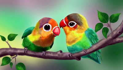 ​鹦鹉不能吃的水果列表 鹦鹉能吃水果么