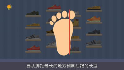 ​巴布豆23码鞋子内长多少厘米 卡特兔23码鞋子内长多少厘米