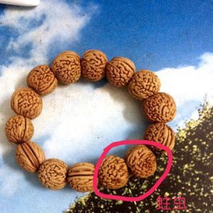 ​野桃核手串最忌讳（野桃核手串作用）