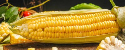 ​玉米属于食品哪一类 玉米属于哪个类目