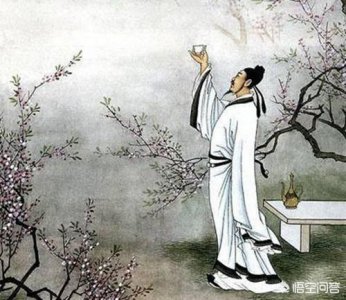 ​四川三苏酒怎么样(四川三苏酒老酒多少钱啊)