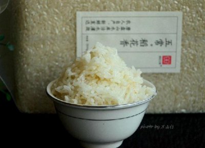 ​稻花香醇香52度价格表(稻花香醇香52度白酒价格表)