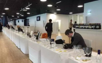 ​欧博城堡波尔多价格(狼园城堡波尔多价格)