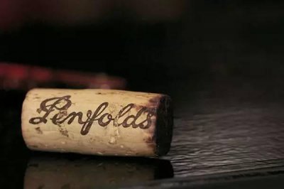 ​红酒在酒窖怎么放(红酒放酒窖保质期多久)