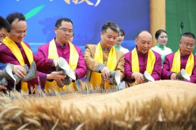 ​茅台镇制曲厂(茅台镇曲大师酒)