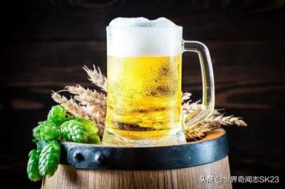 ​啤酒 外国(啤酒在国外算酒吗)