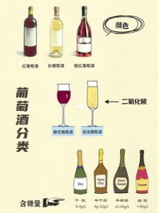 ​葡萄酒的葡萄种类(葡萄酒种类及口感)