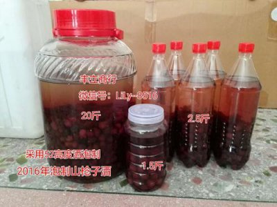 ​五斤稔子要多少酒(稔子酒的比例是多少)