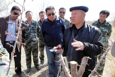 ​杏树什么时候嫁接最好（图解杏树的常见嫁接方法与步骤）