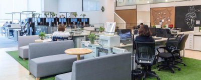 ​mbo是什么意思