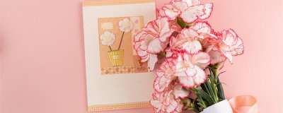 ​母亲节的由来