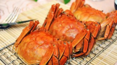 ​大闸蟹怎么保存