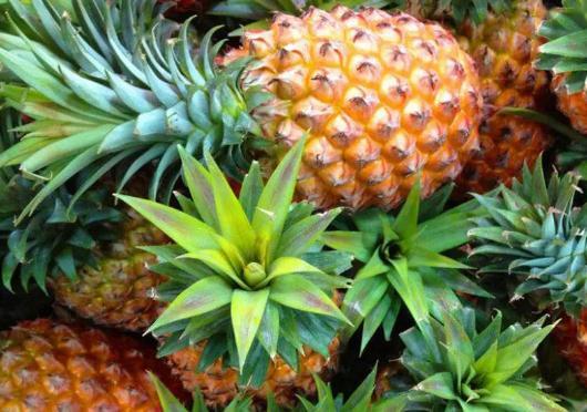 菠萝为什么要用盐水泡 菠萝用盐水泡多久能吃 菠萝为什么要用盐水泡 菠萝用盐水泡多久能吃