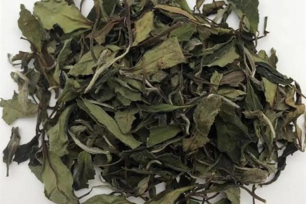 老白茶是发酵茶吗 老白茶和普洱哪个好
