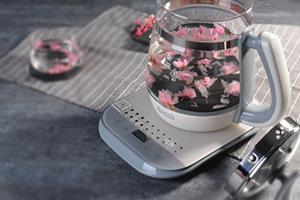 养生壶可以煮燕窝吗?养生壶怎么煮燕窝 养生壶可以煮燕窝吗?养生壶怎么煮燕窝