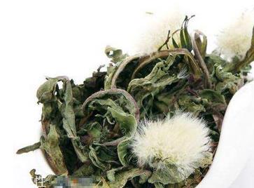 蒲公英茶怎么做?蒲公英茶做法超简单 蒲公英茶怎么做?蒲公英茶做法超简单