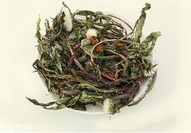 蒲公英茶怎么做?蒲公英茶做法超简单 蒲公英茶怎么做?蒲公英茶做法超简单