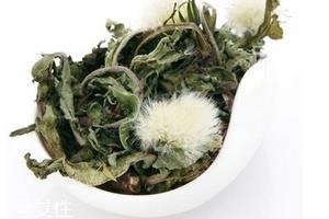 蒲公英茶怎么做?蒲公英茶做法超简单 蒲公英茶怎么做?蒲公英茶做法超简单