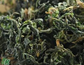 荠菜晒干了怎么做好吃?荠菜晒干泡茶可以吃吗? 荠菜晒干了怎么做好吃?荠菜晒干泡茶可以吃吗?