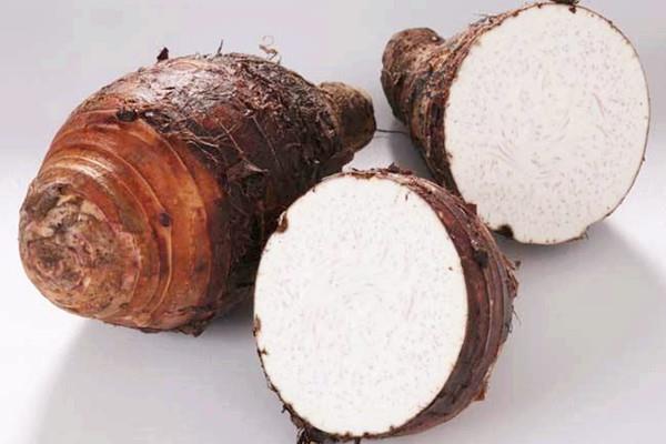 芋头能和牛奶一起吃吗 芋头能和螃蟹一起吃吗 芋头能和牛奶一起吃吗 芋头能和螃蟹一起吃吗