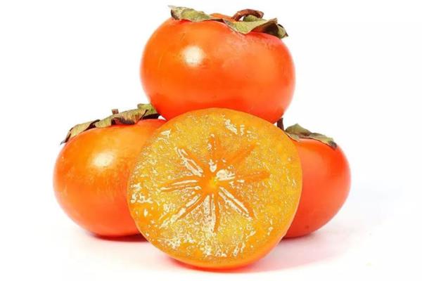 柿子的功效是什么 柿子有什么禁忌 柿子的功效是什么 柿子有什么禁忌