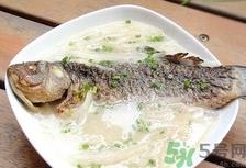 鱼汤有苦味是怎么回事?鱼汤有苦味怎么办? 鱼汤有苦味是怎么回事?鱼汤有苦味怎么办?