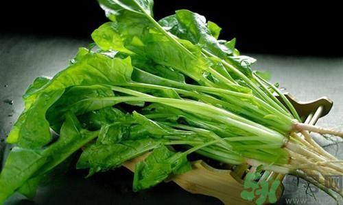 来月经吃什么补血 来月经吃什么补血