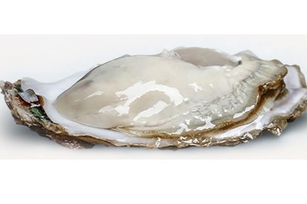 进口生蚝能生吃吗 品质好价格高 进口生蚝能生吃吗 品质好价格高