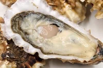 ​进口生蚝能生吃吗 品质好价格高