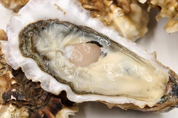 进口生蚝能生吃吗 品质好价格高 进口生蚝能生吃吗 品质好价格高