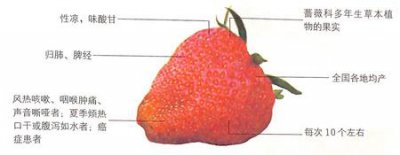 ​草莓的功效作用之益气补血