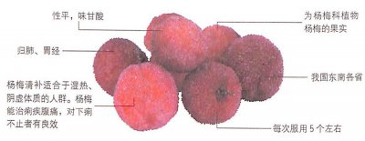 ​杨梅的功效作用抗氧化降血脂