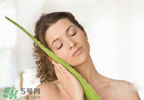 芦荟涂在脸上发痒是怎么回事?芦荟涂在脸上发痒怎么办? 芦荟涂在脸上发痒是怎么回事?芦荟涂在脸上发痒怎么办?