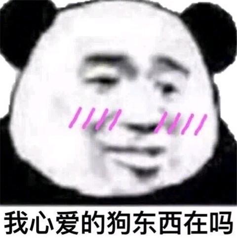撩妹表情包11