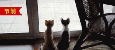 ​春天来了！太原有这么多登山好去处！新年登高，第5座山亮了！