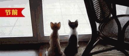 春天来了！太原有这么多登山好去处！新年登高，第5座山亮了！