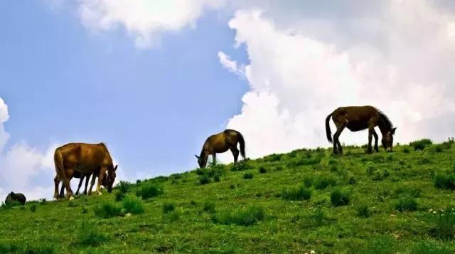 春天来了！太原有这么多登山好去处！新年登高，第5座山亮了！