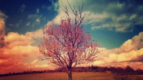 离婚女人再婚的五大心理，看看你们占了几条