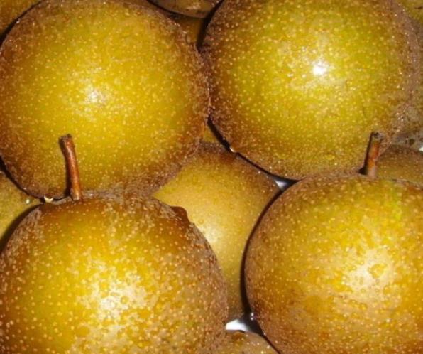 一到换季,孩子晚上咳嗽真愁人!沙梨加“它”炒一炒,驱寒也止咳