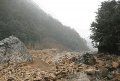 ​这条小河里的石头这么值钱 一块石头竟然卖了50万